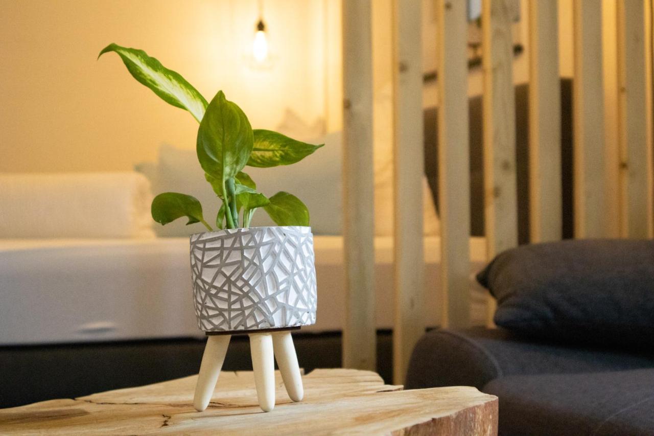 Am Seewald - Ferienwohnung Am Bodensee FDH Exteriör bild